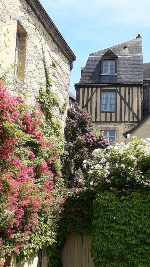 Petite Maison Romantique Au Calme, Coeur Historique Plantagenet, Vue Ville Le Mans Exterior foto